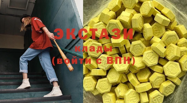 ECSTASY Богородск