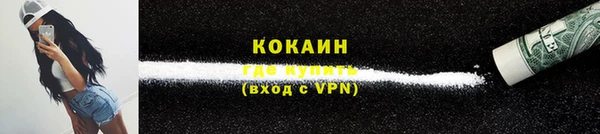 ECSTASY Богородск