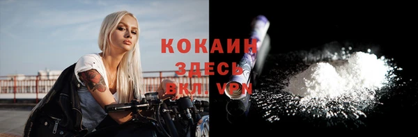 ECSTASY Богородск
