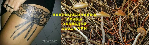 не бодяженный Богданович