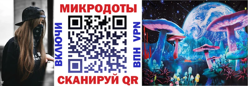 Купить где  Вилючинск  Галлюциногенные грибы мицелий 